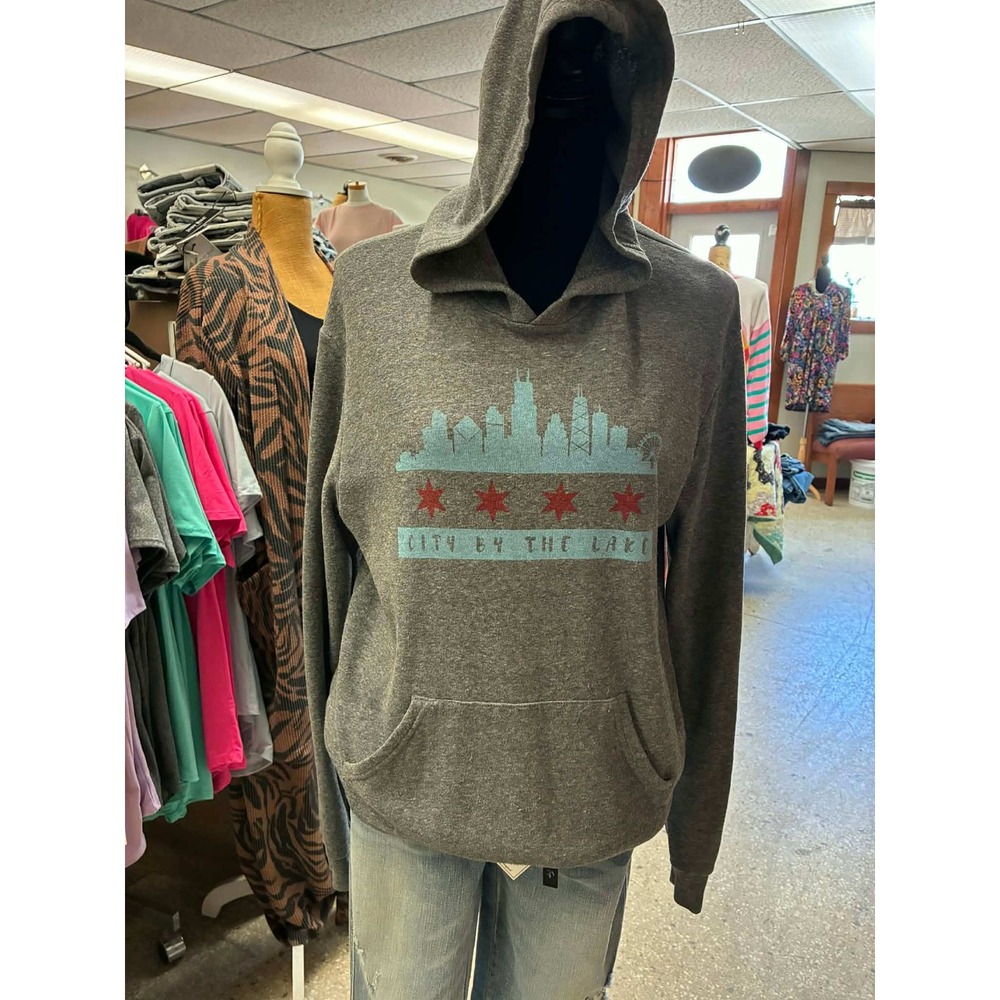 Orchard Street Apparel Mens Chicago Skyline Hoodie Gray City By The Lake Large